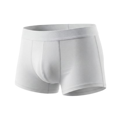 Modal Comfort Briefs